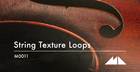 String Texture Loops