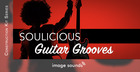Soulicious Guitar Grooves 1
