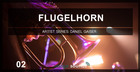 Flugelhorn 2