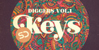 Diggers Vol1 - Keys