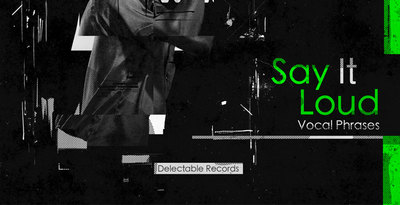 Say it loud delectable records 512web