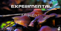 Experimental ambient   frinla1000x512 02 web