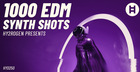 1000 EDM Synth Shots