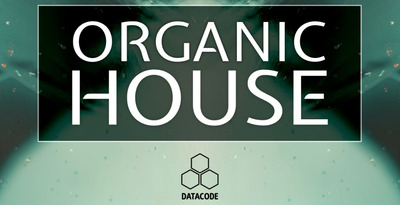 Datacode   focus organic house   banner