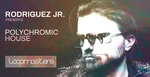 Rodriguez jr music  melodic house synth loops  techno drum loops  house percussion  melodic techno bass sounds at loopmasters.com rectangle