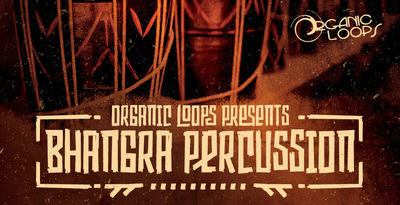 Royalty free world percussion samples  indian percussion rhythms  tabla and cabassa loops  bhangra music  tambourine loops at loopmasters.com rectangle