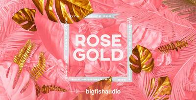 Rosegold 512web