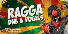 Ragga DnB & Vocals