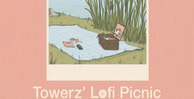 Towerz lofipicnic banner