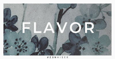 Flavor banner web