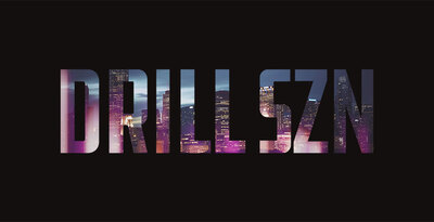 Pl dszn banner