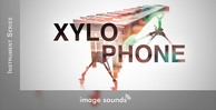 Xylophone banner