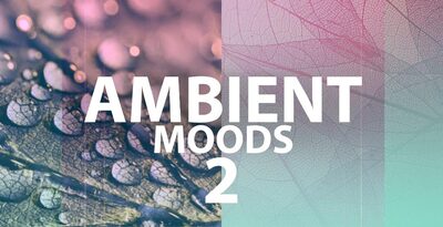 Lp24   ambient moods 2   1000x512lq