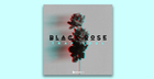 Black Rose