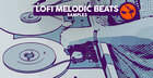 Lofi Melodic Beats