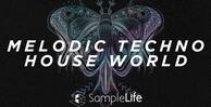 Melodic techno house world 1000x512 low quality
