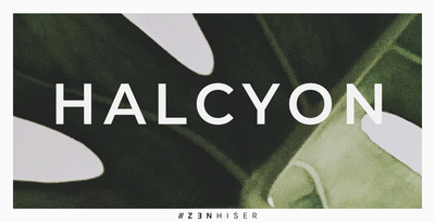 Zenhiser h banner