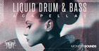Liquid Drum & Bass Acapellas