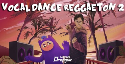 Dgs vdr2 banner