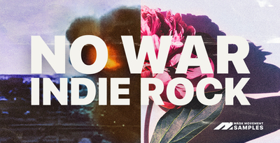 Mms nwir banner