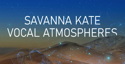 Bos dskva banner