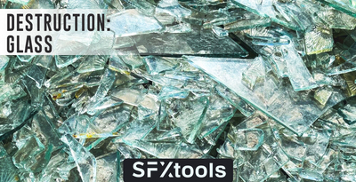 Sfxt dg banner