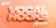 91vocals vocal hooks peach banner artwork