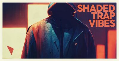 Db stv banner