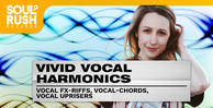 Soul rush records vivid vocal harmonics banner artwork