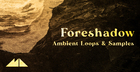 Foreshadow - Ambient Loops & Samples