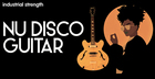 Nu Disco Guitar