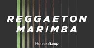 House of loop reggaeton marimba banner artwork