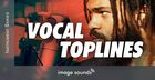 Vocal Toplines