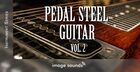 Pedal Steel Guitar 2