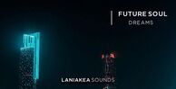 Laniakea sounds future soul dreams banner