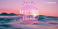 Big fish audio malibu dream banner