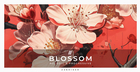 Blossom