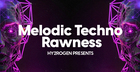 Melodic Techno Rawness