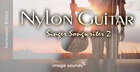 Nylon Guitar - Singer Songwriter 2