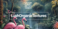 Black octopus sound lush organic textures banner