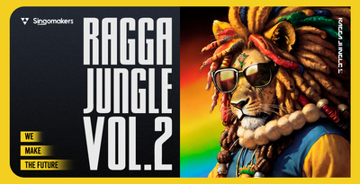 Singomakers ragga jungle 2 banner