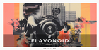 Flavonoid - Organic House