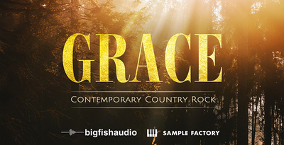 Big fish audio grace banner