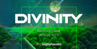 Divinity: Progressive House Kits
