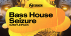 Bass House Seizure