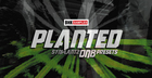 BHK Samples - Planted - Synplant 2 DnB Presets