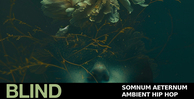 Blind audio somnum aeternum ambient hip hop banner