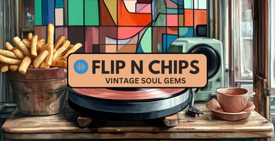 Flip n chips 512 loopmasters