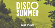 Amalfisounds discosummer 512 loopmasters