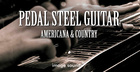 Pedal Steel Guitar - Americana & Country